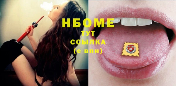 соль ск Каменногорск