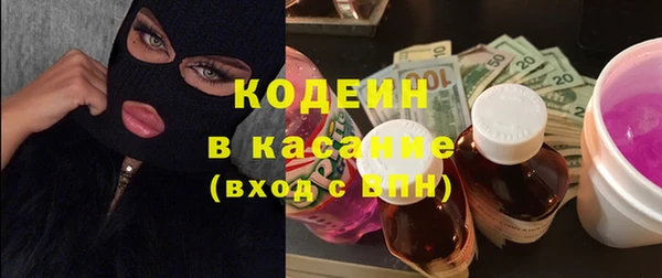 соль ск Каменногорск
