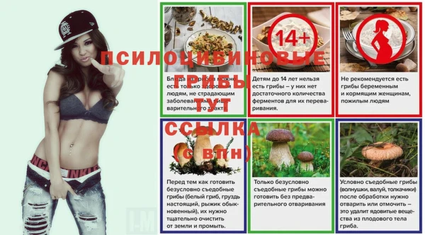 соль ск Каменногорск