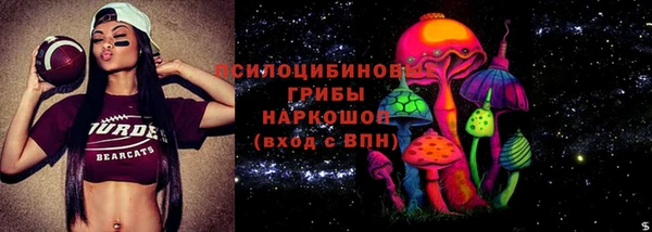 соль ск Каменногорск