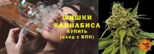 соль ск Каменногорск